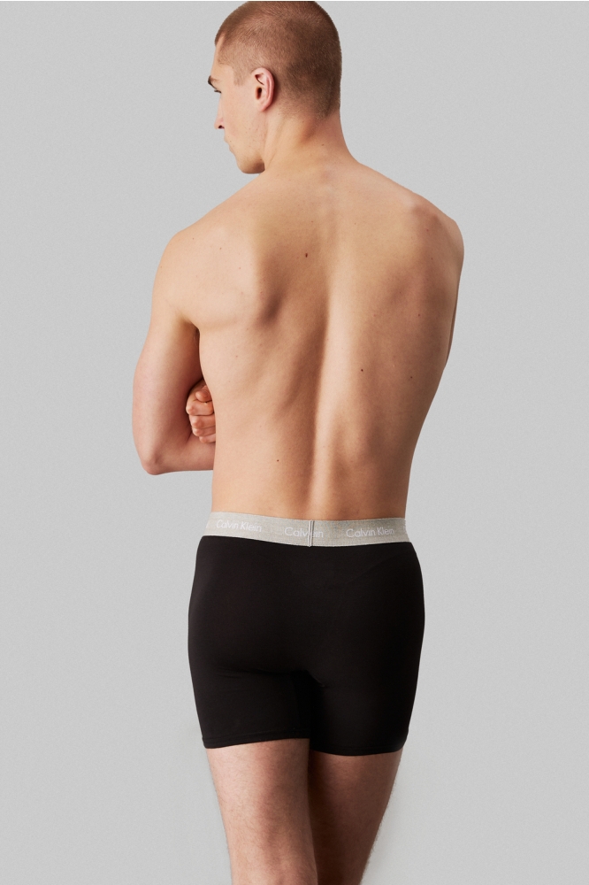 BOXER BRIEF 5PK 000NB3794A B TUR, R GR, GR H, D MV, SD WBS